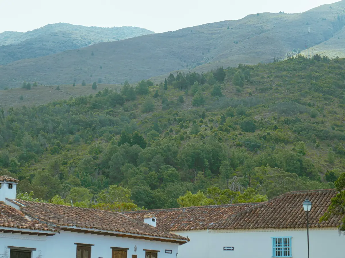 Casas blancas de tejado de barro frente a montañas verdes